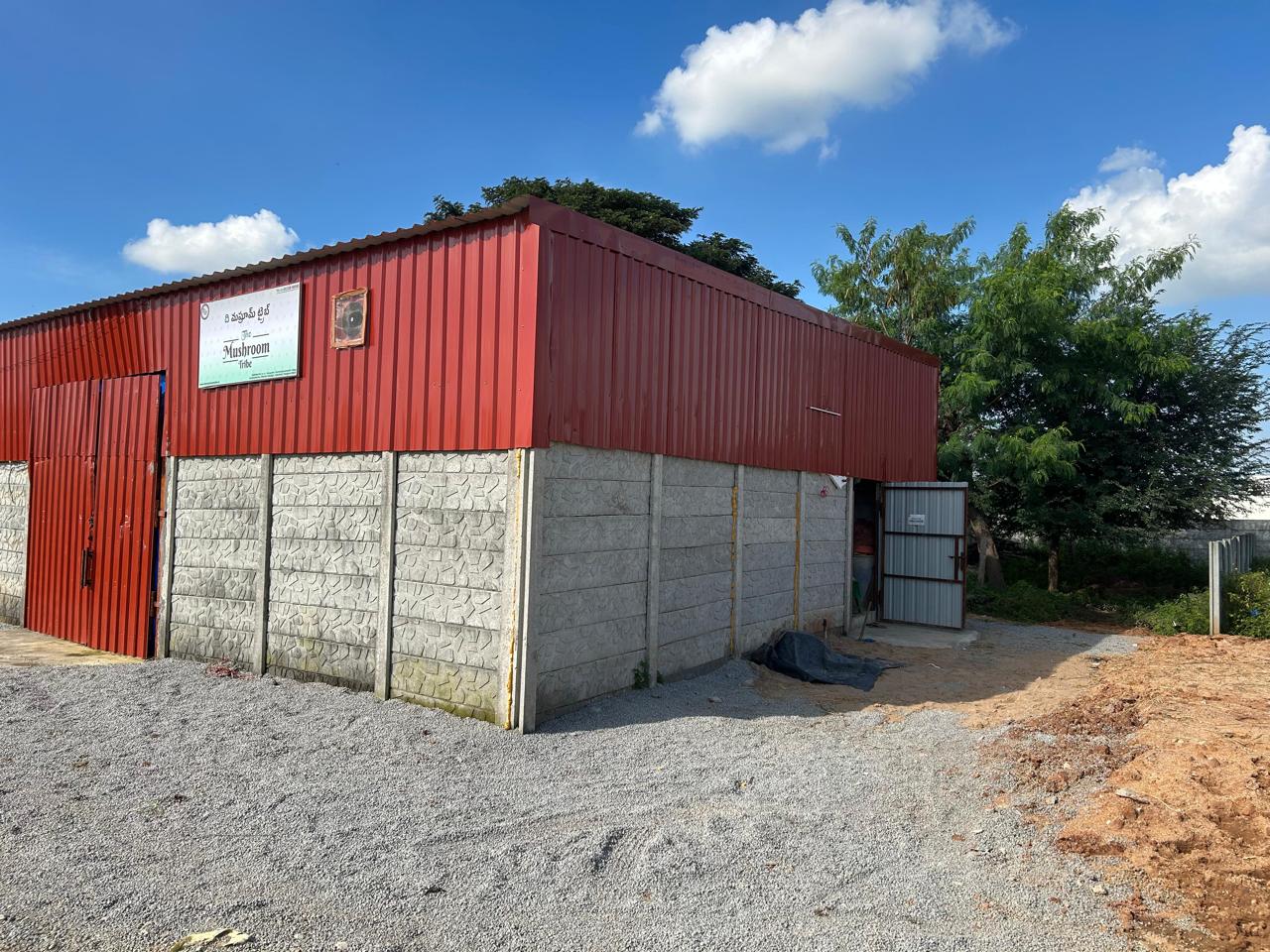 Mushroom Farm Visit